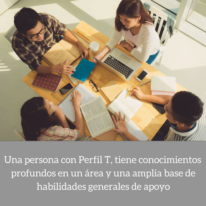 Perfil T Argento Consultores